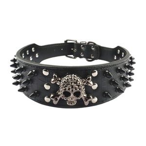 NIB SKULL & SPIKED Leather Dog Collar in Black